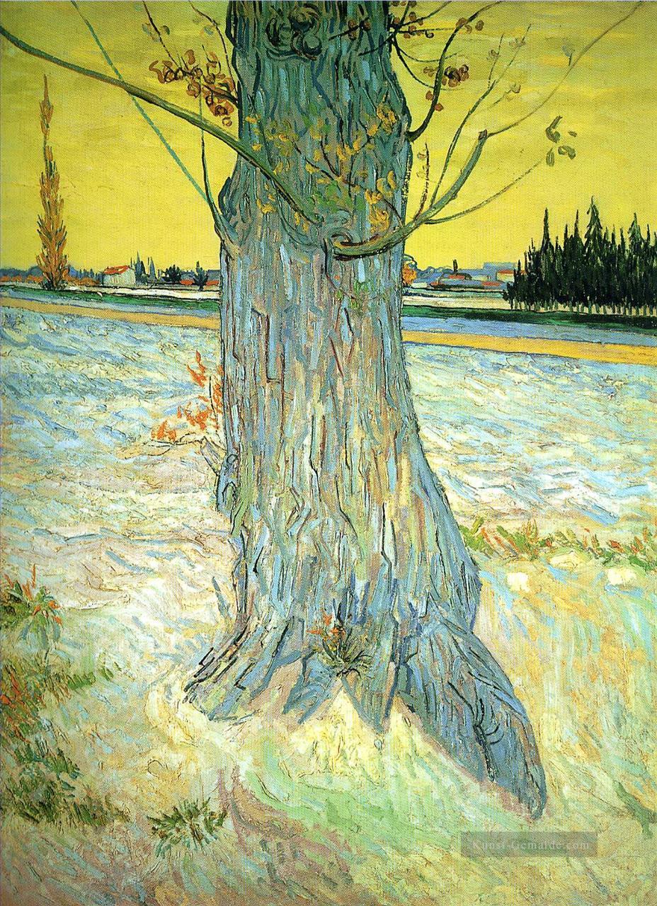Stamm einer alten Eibe Vincent van Gogh Ölgemälde